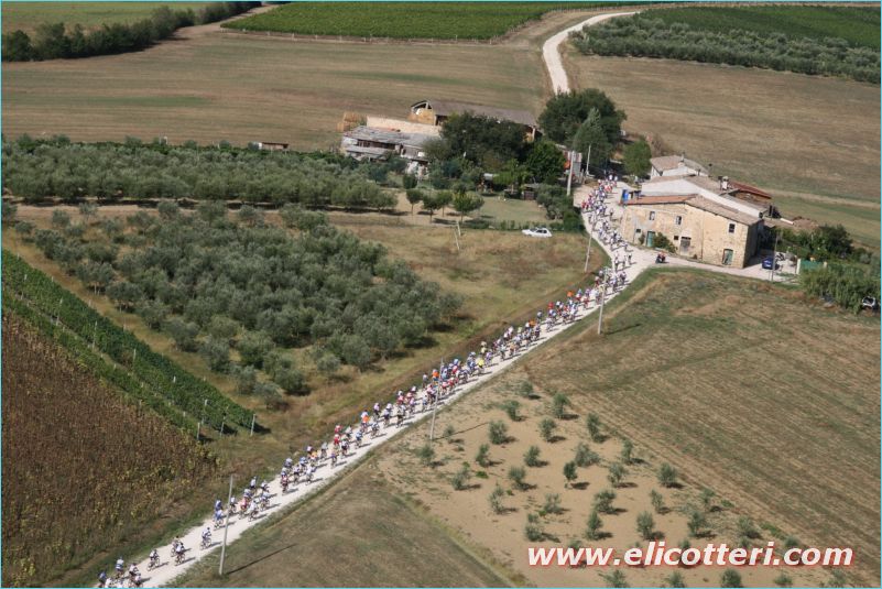 elifoto (236)